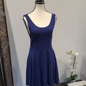 Topshop Purple Fit and Flare Dress Sleeveless Scoop Neck